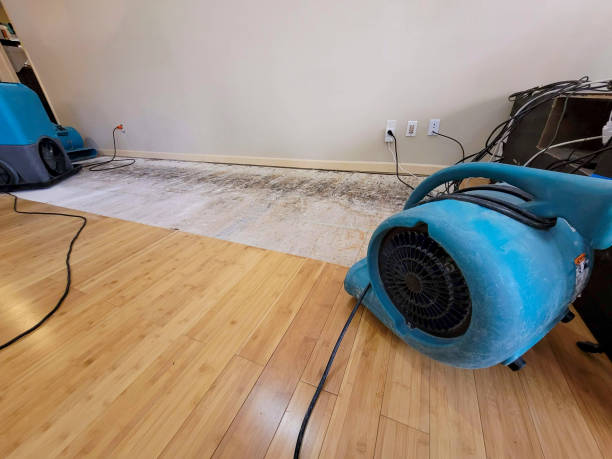 Professional Sewage Cleanup technician working in Orlando, FL
